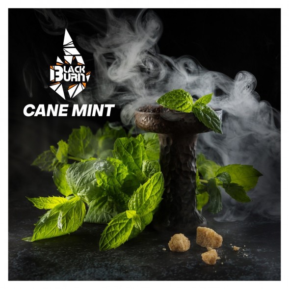 Табак BlackBurn - Cane Mint (Тростниковая Мята, 25 грамм) купить в Кемерове