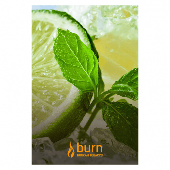Табак Burn - Lemon Mint (Лимон с Мятой, 100 грамм) купить в Кемерове