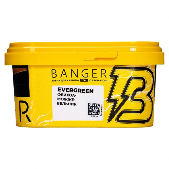 Табак Banger - Evergreen (Фейхоа Можжевельник, 200 грамм) купить в Кемерове