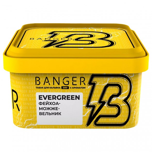 Табак Banger - Evergreen (Фейхоа Можжевельник, 200 грамм) купить в Кемерове