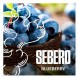 Табак Sebero - Blueberry (Голубика, 200 грамм) купить в Кемерове