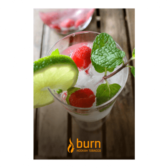 Табак Burn - Kamikaze (Лайм Малина Лед, 25 грамм) купить в Кемерове