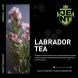 Табак Jent - Labrador Tea (Багульник и Саган Дайля, 25 грамм) купить в Кемерове