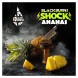 Табак BlackBurn - Ananas Shock (Кислый Ананас, 25 грамм) купить в Кемерове