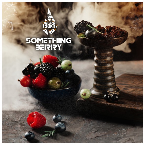 Табак BlackBurn - Something Berry (Что-то Ягодное, 25 грамм) купить в Кемерове